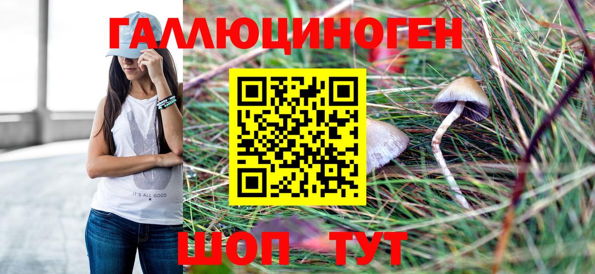Галлюциногенные грибы Psilocybe  Вход с VPN  Галлюциногенные грибы ЛСД  где купить наркоту  Чехов 